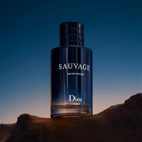 sauvage dior idealo|sauvage de dior precio.